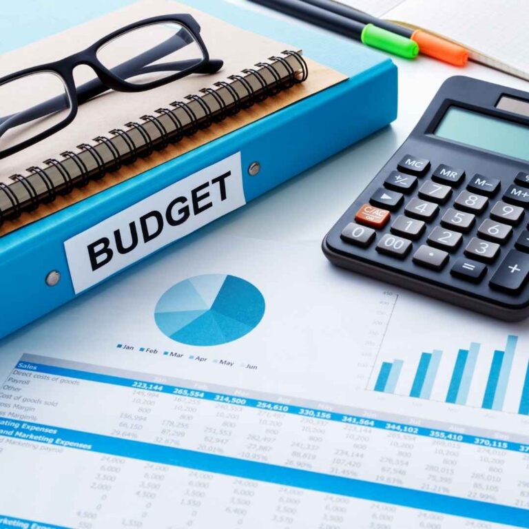 VSJ FinMart - 50/30/20 Budget Calculator