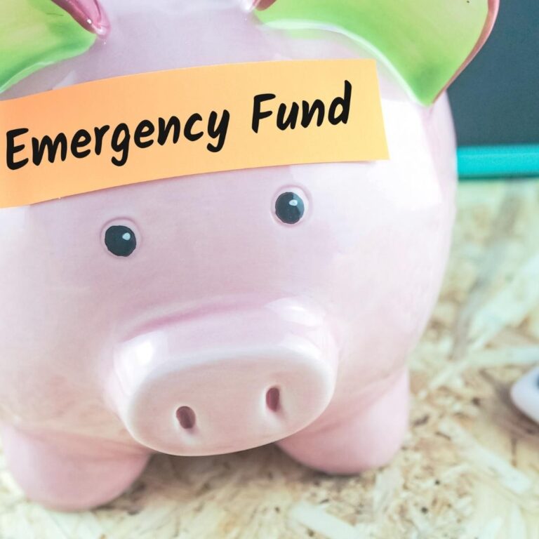 VSJ FinMart - Age-Based Emergency Fund Calculator